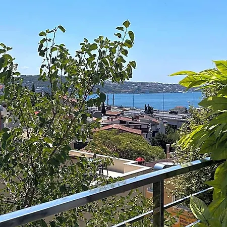 Mona Bosphorus